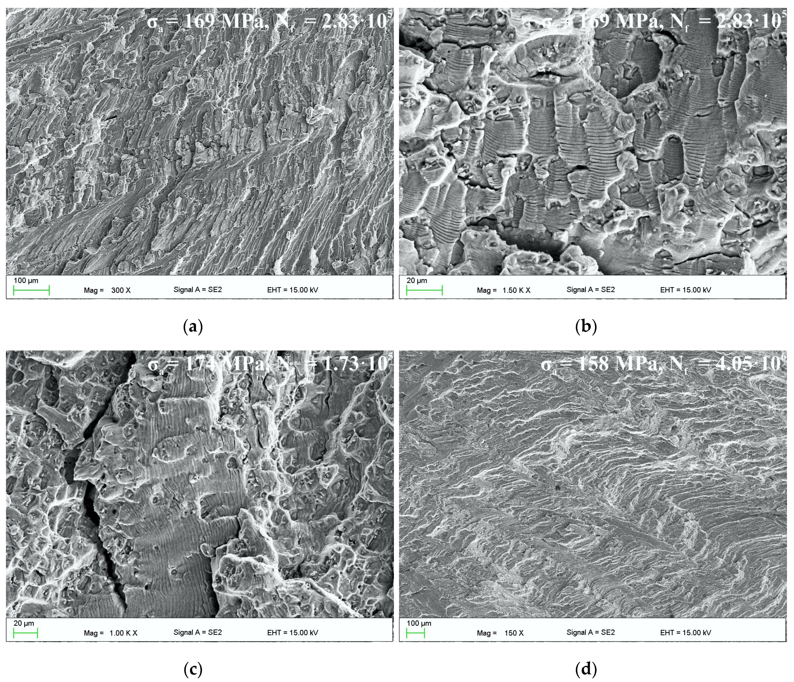 metals as biomaterials pdf free