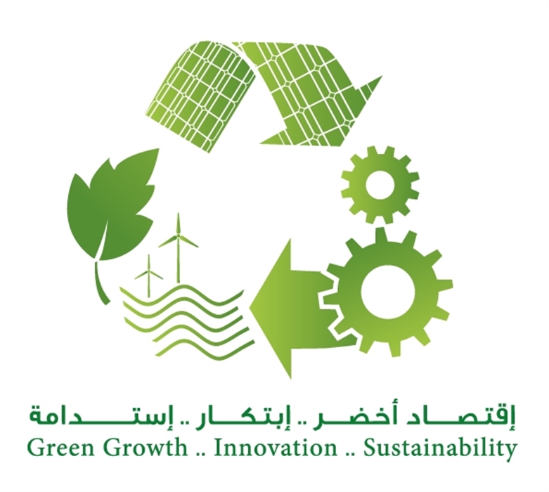 التنمية المستدامة في المملكة العربية السعودية pdf