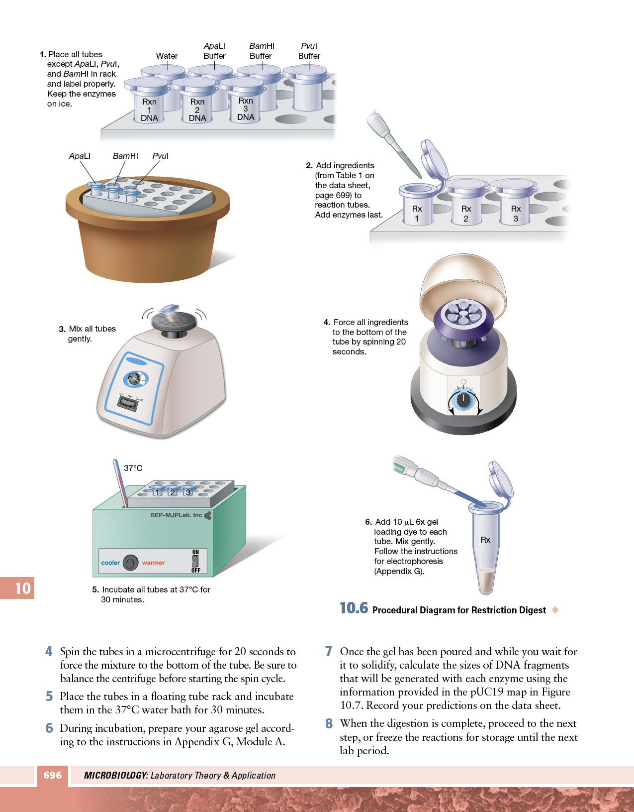 microbiology laboratory theory & application